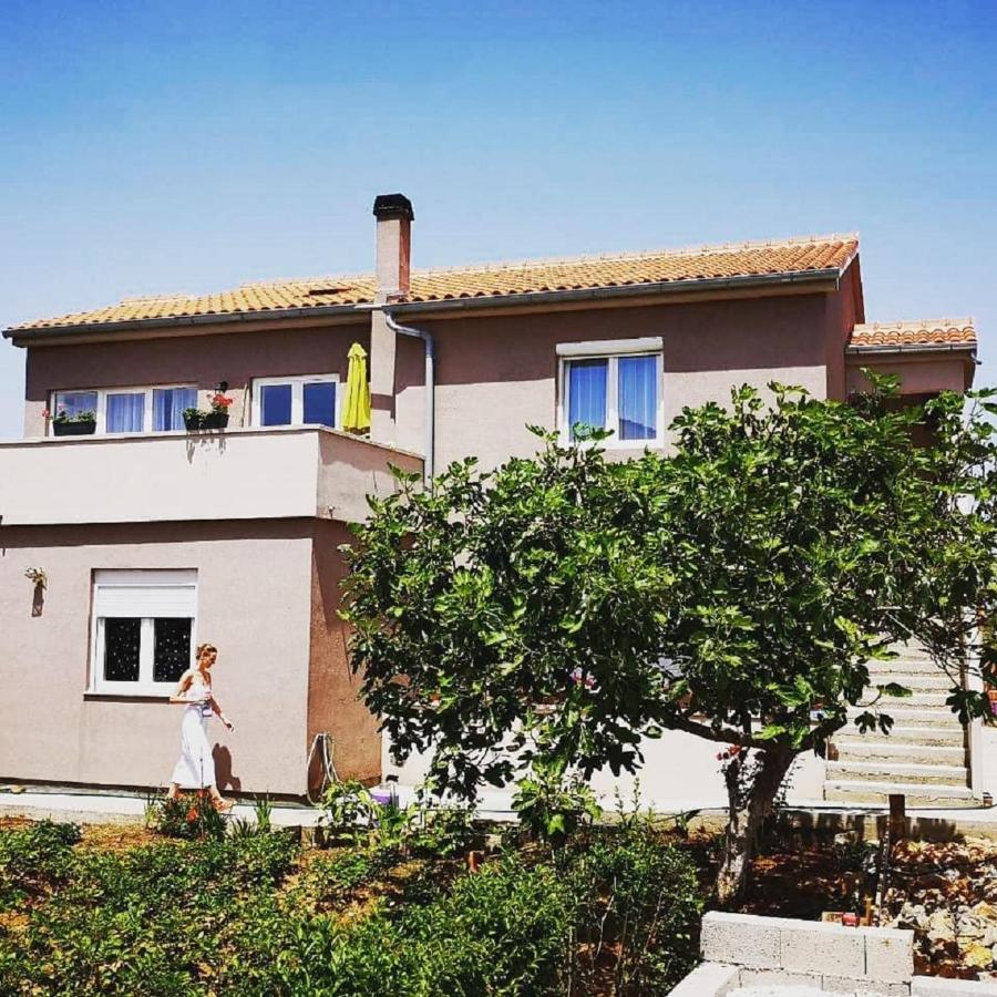 Apartmani Zara Zaton  Εξωτερικό φωτογραφία